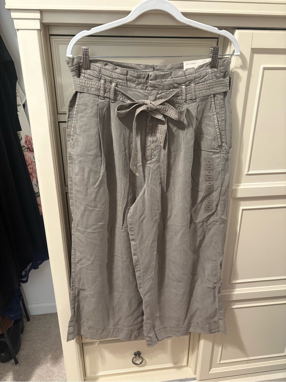 American Eagle Outfitters Cropped length Wide Leg Trousers